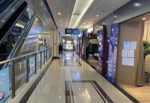 行業(yè)聚焦 原材料價格飆升、終端銷售疲軟，家居飾品市場如何破局？
